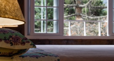 esc_attr__('image', 'petsland')